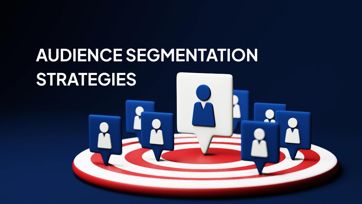 Audience Segmentation Strategies