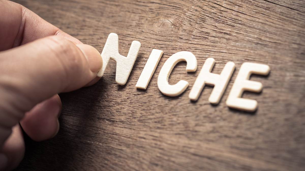 Niche Marketing Strategy: How to Find & Grow in Your Market