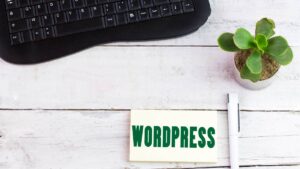 WordPress eCommerce Plugins